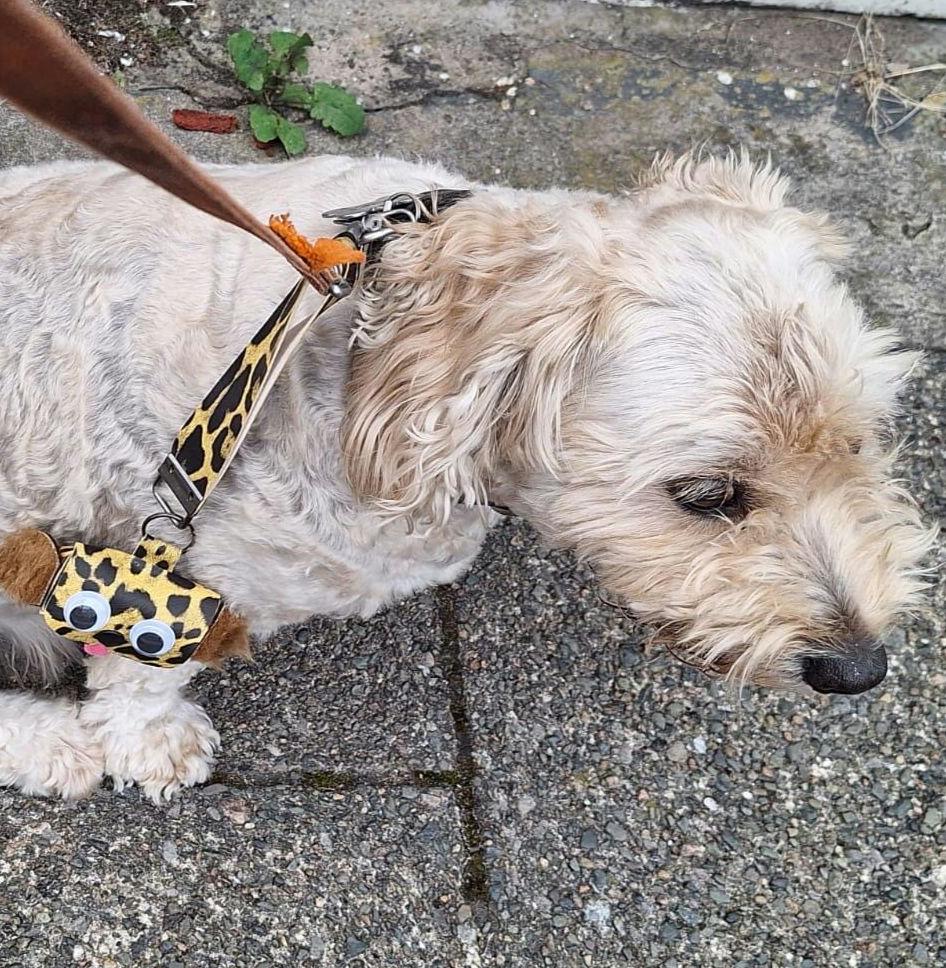 Fun Dog Walk Poop Bag Holder Dispenser Face Googly Eyes Puppy Fur Baby